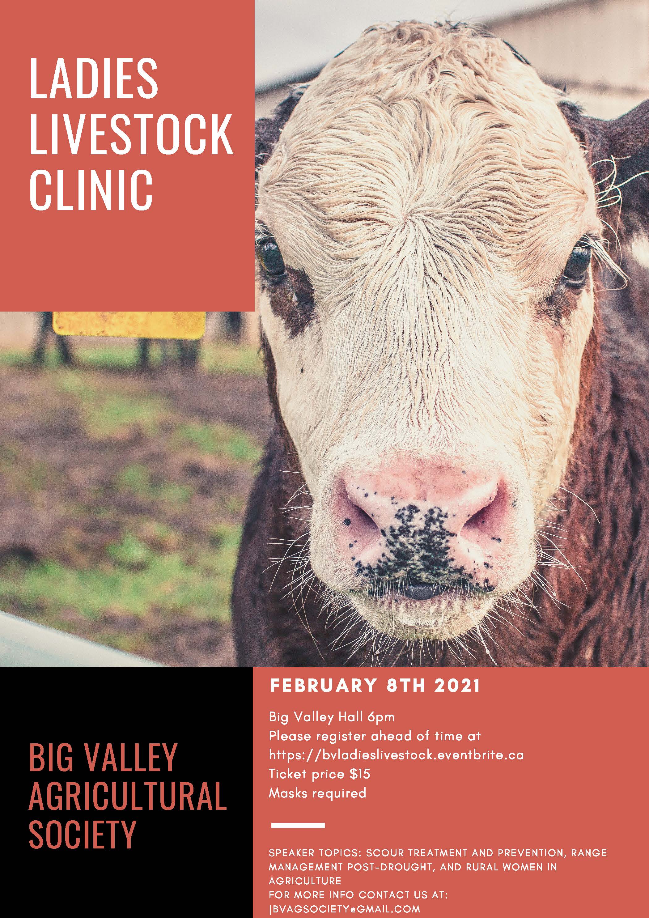 Ladies Livestock Clinic (2)