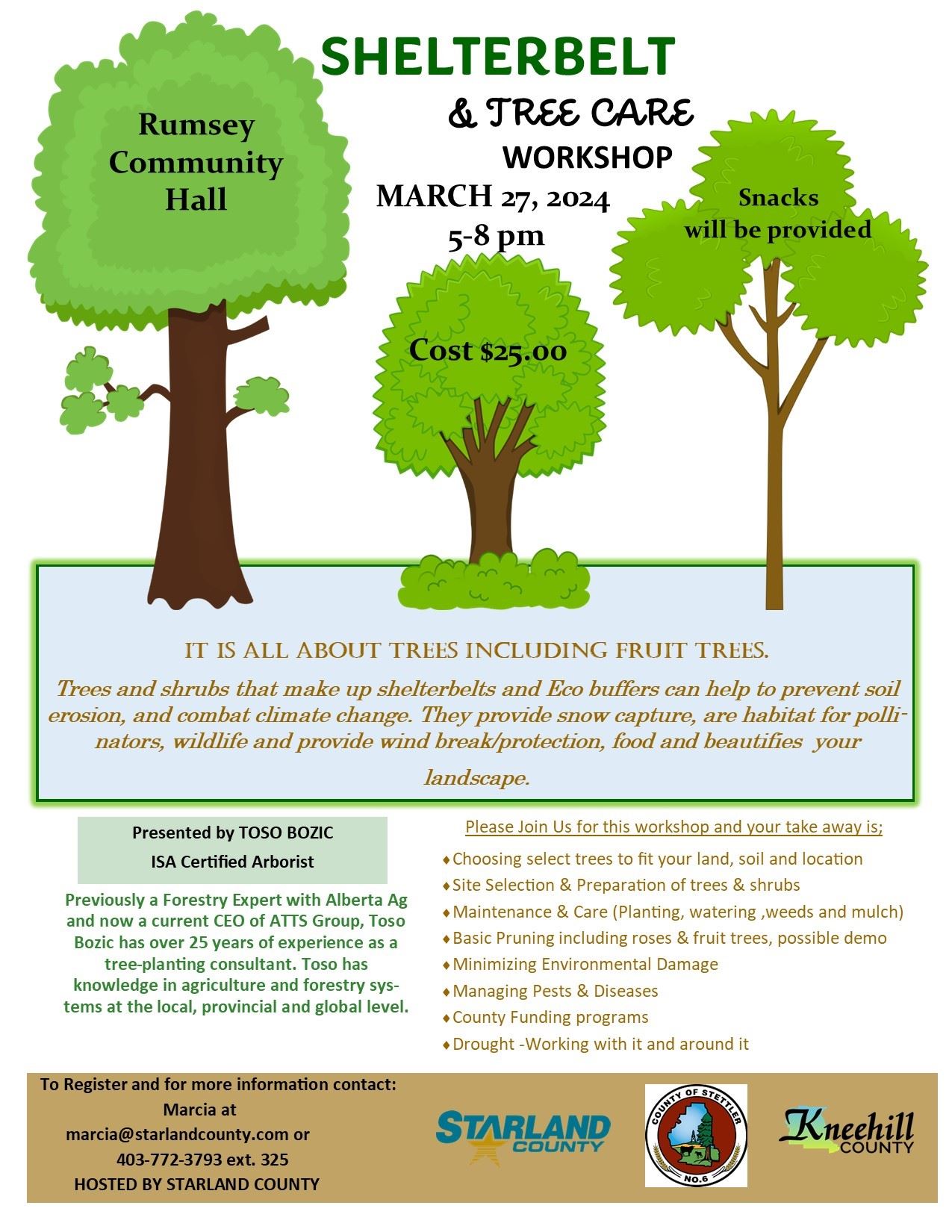 Starland Tree Workshop
