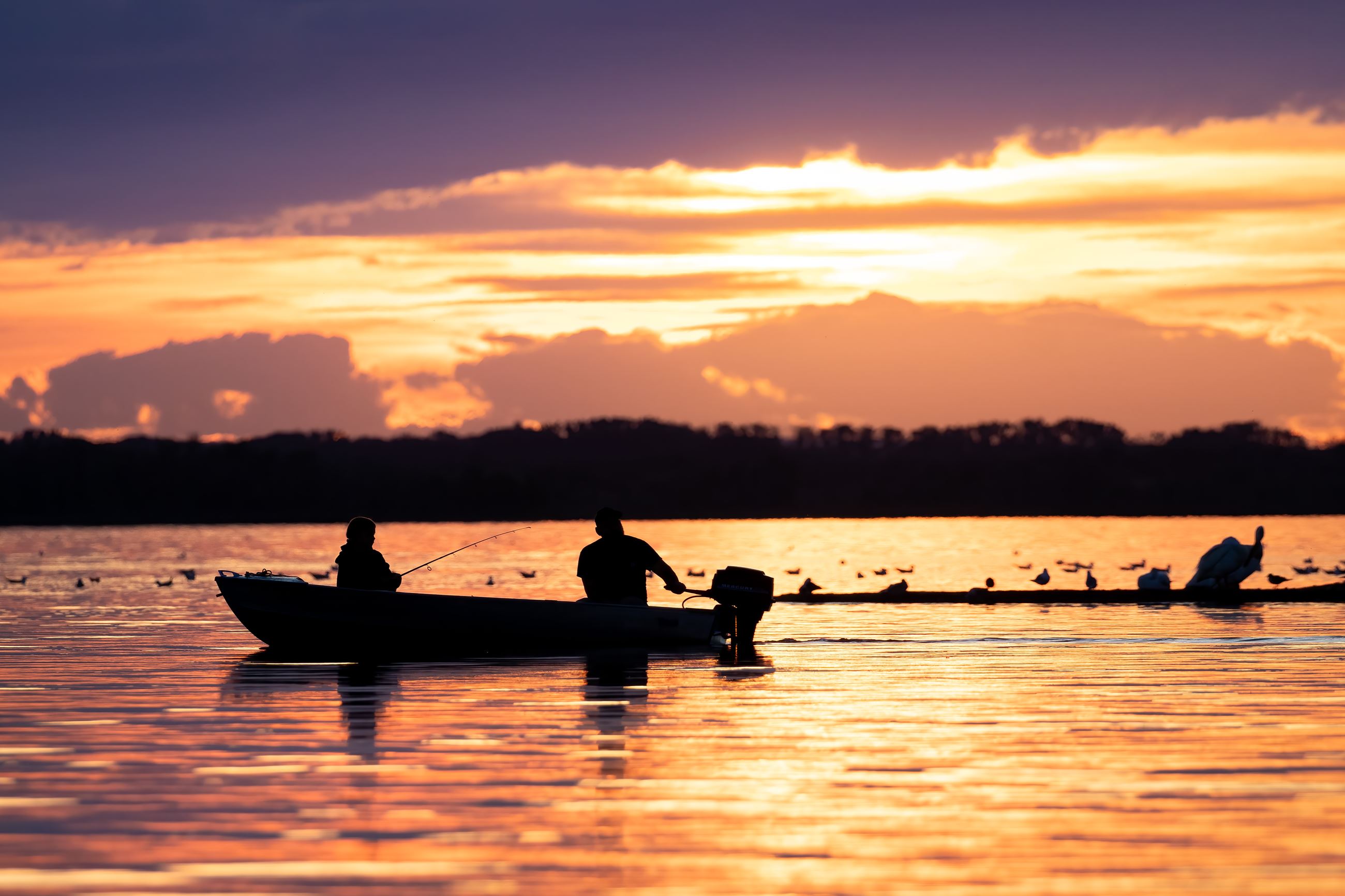 Submission 341 Fishing Bird Island 1