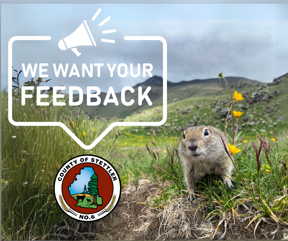 Gopher Feedback Post (2)