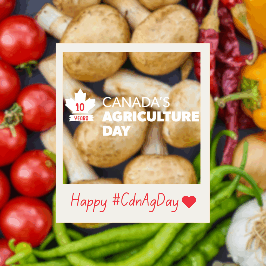 Option-3-EN-1024x1024